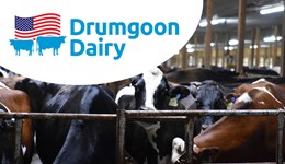 Staffordshire: The 5 non-negotiables of a resilient dairy business